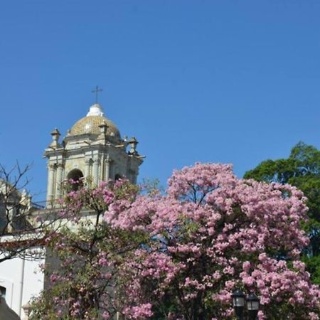 M1010 - The Best Place To Enjoy Oaxaca 外观 照片
