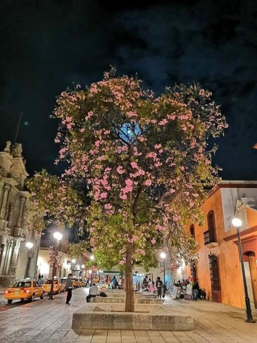 M1010 - The Best Place To Enjoy Oaxaca 外观 照片
