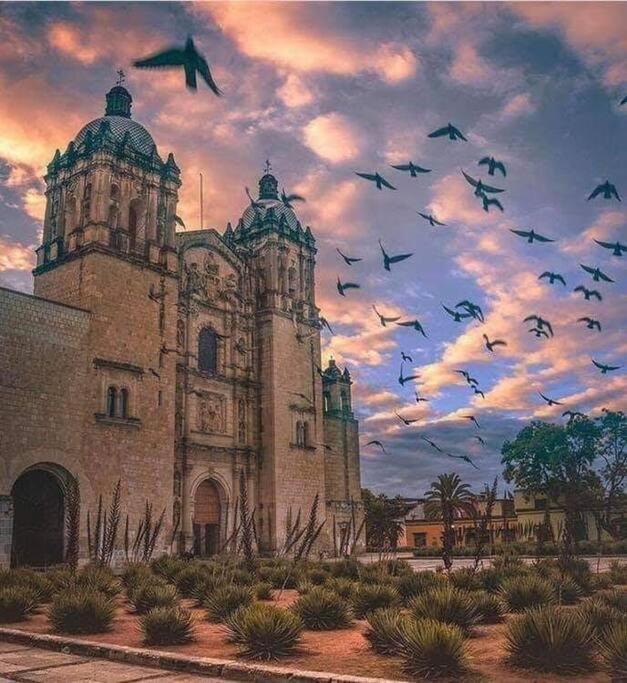M1010 - The Best Place To Enjoy Oaxaca 外观 照片