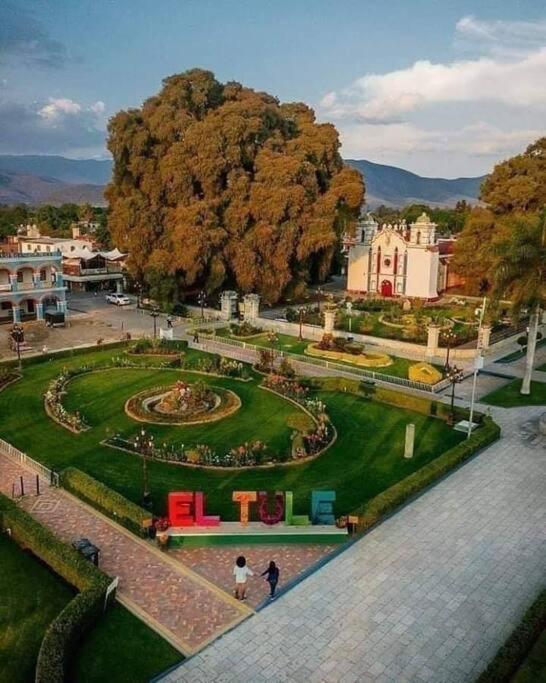 M1010 - The Best Place To Enjoy Oaxaca 外观 照片